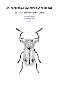 Cover of Coleopteres Chrysomelidae Clytrinae de France continentale et de Corse