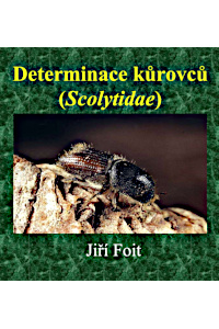 Cover of Determinace kůrovců (Scolytinae)