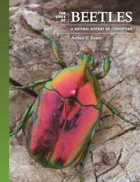 Obálka The Lives of Beetles