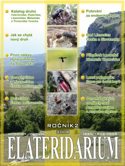 elateridarium 2008 3 m