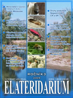 elateridarium 2009 4 m