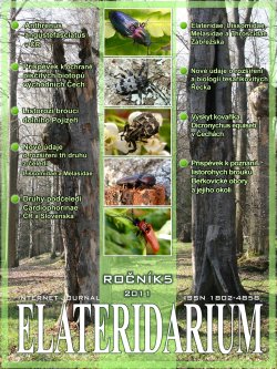 elateridarium 2011 8 m