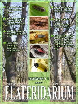 elateridarium 2017 16 m
