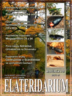 elateridarium 2019 18 m