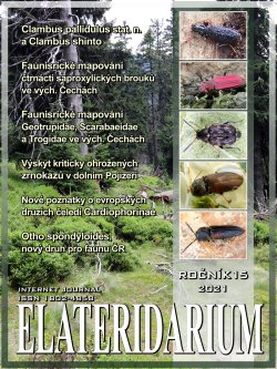elateridarium 2021 20 m