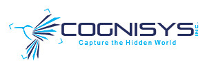 Obálka Cognysis Inc.