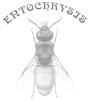 Obálka Entochrysis