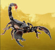 Cover of Entoprofi