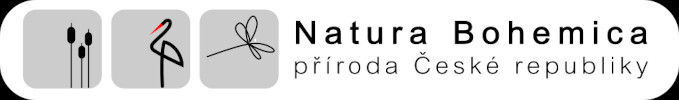Cover of Natura Bohemica