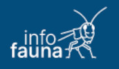 Cover of Info Fauna