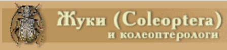 Obálka Beetles (Coleoptera) and coleopterists