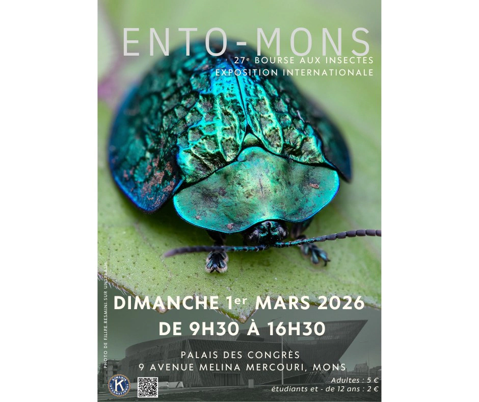 Ento Mons