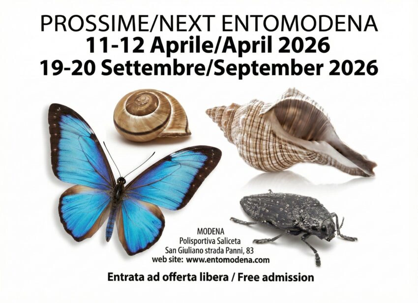 Entomodena2026 850x615