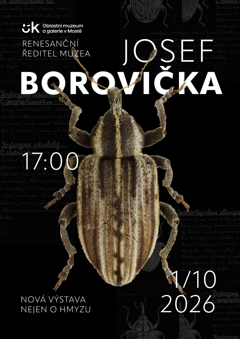 vystava Borovicka 202610 - 202701