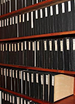 Entomological boxes stored in a shelf Entomological boxes stored in a shelf