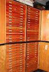 Insects stored in the entomological cabinet Insects stored in the entomological cabinet