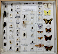 Example of a box with descriptive labels
